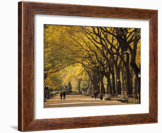 Central Park, New York City, Ny, USA-Walter Bibikow-Framed Photographic Print