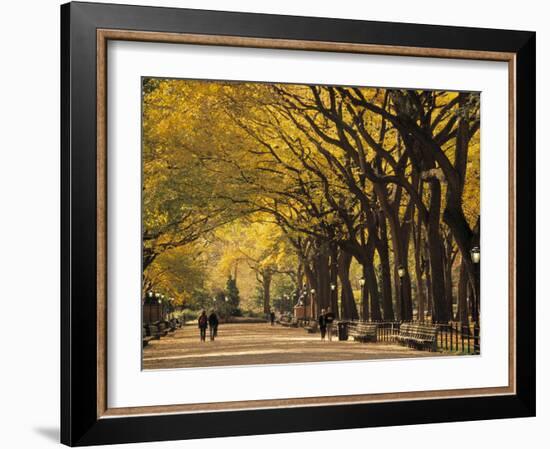 Central Park, New York City, Ny, USA-Walter Bibikow-Framed Photographic Print