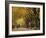 Central Park, New York City, Ny, USA-Walter Bibikow-Framed Photographic Print