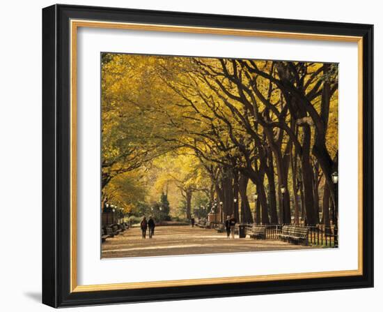 Central Park, New York City, Ny, USA-Walter Bibikow-Framed Photographic Print