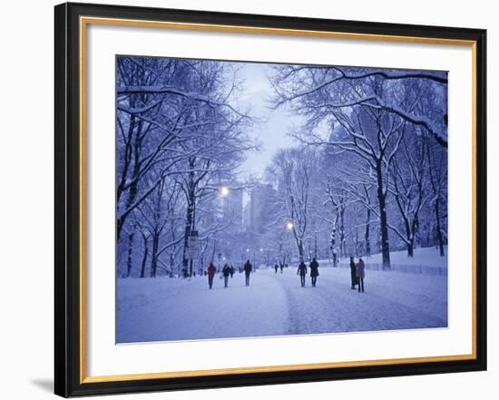 Central Park, New York City, Ny, USA-Walter Bibikow-Framed Photographic Print