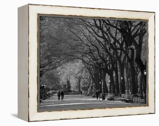 Central Park, New York City, Ny, USA-Walter Bibikow-Framed Premier Image Canvas