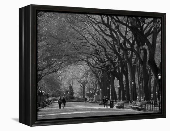 Central Park, New York City, Ny, USA-Walter Bibikow-Framed Premier Image Canvas