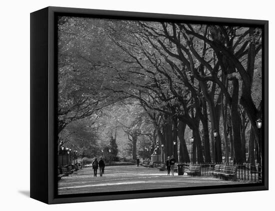 Central Park, New York City, Ny, USA-Walter Bibikow-Framed Premier Image Canvas