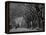 Central Park, New York City, Ny, USA-Walter Bibikow-Framed Premier Image Canvas