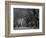 Central Park, New York City, Ny, USA-Walter Bibikow-Framed Photographic Print