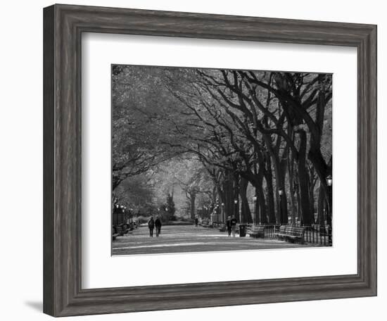 Central Park, New York City, Ny, USA-Walter Bibikow-Framed Photographic Print