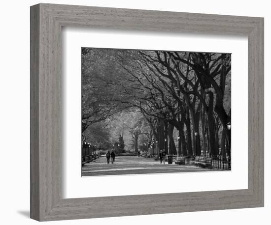 Central Park, New York City, Ny, USA-Walter Bibikow-Framed Photographic Print