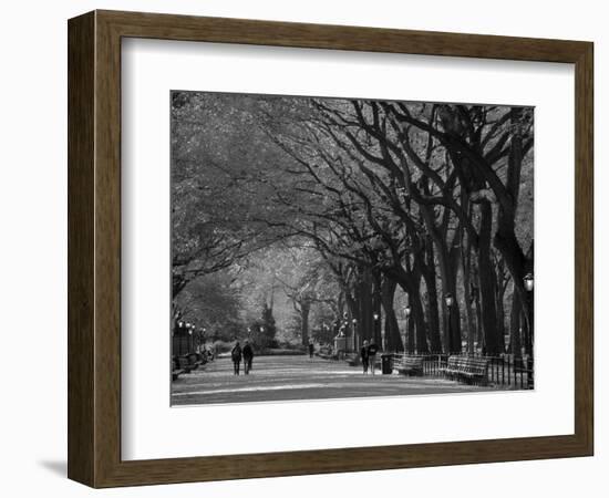 Central Park, New York City, Ny, USA-Walter Bibikow-Framed Photographic Print