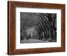 Central Park, New York City, Ny, USA-Walter Bibikow-Framed Photographic Print