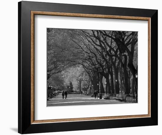 Central Park, New York City, Ny, USA-Walter Bibikow-Framed Photographic Print