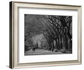 Central Park, New York City, Ny, USA-Walter Bibikow-Framed Photographic Print