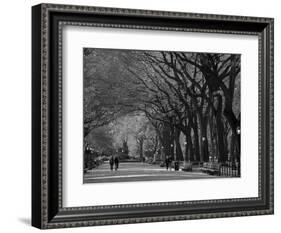 Central Park, New York City, Ny, USA-Walter Bibikow-Framed Photographic Print