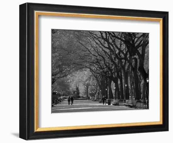 Central Park, New York City, Ny, USA-Walter Bibikow-Framed Photographic Print