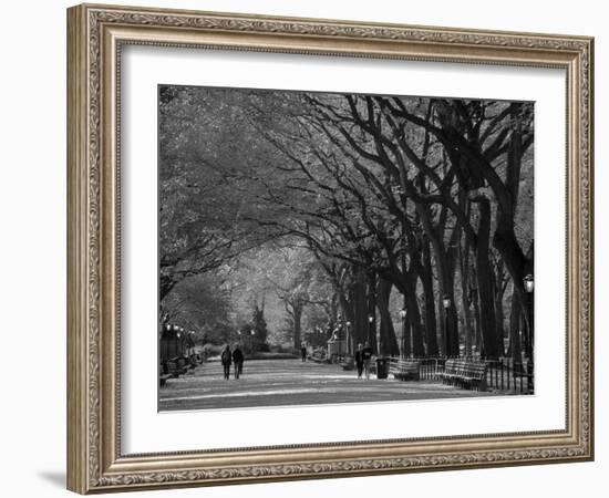 Central Park, New York City, Ny, USA-Walter Bibikow-Framed Photographic Print