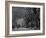 Central Park, New York City, Ny, USA-Walter Bibikow-Framed Photographic Print