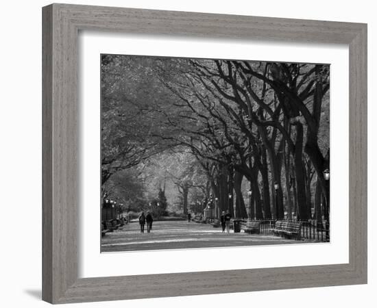 Central Park, New York City, Ny, USA-Walter Bibikow-Framed Photographic Print