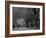 Central Park, New York City, Ny, USA-Walter Bibikow-Framed Photographic Print