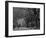 Central Park, New York City, Ny, USA-Walter Bibikow-Framed Photographic Print