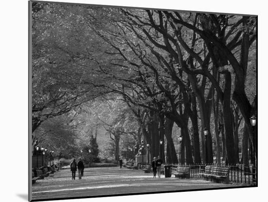 Central Park, New York City, Ny, USA-Walter Bibikow-Mounted Photographic Print