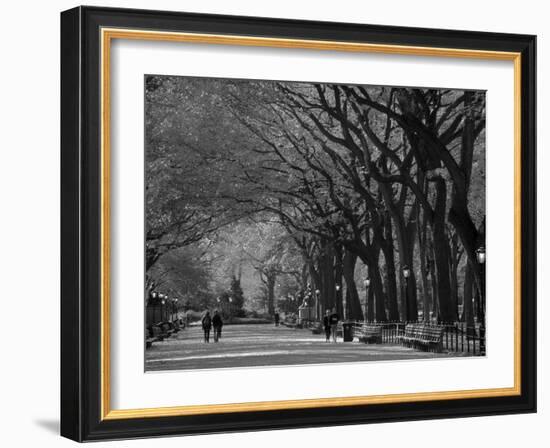 Central Park, New York City, Ny, USA-Walter Bibikow-Framed Photographic Print