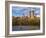 Central Park, New York City, USA-Demetrio Carrasco-Framed Photographic Print