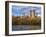 Central Park, New York City, USA-Demetrio Carrasco-Framed Photographic Print