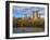 Central Park, New York City, USA-Demetrio Carrasco-Framed Photographic Print