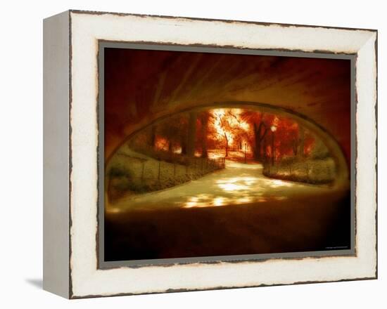 Central Park, no. 1-Katherine Sanderson-Framed Premier Image Canvas