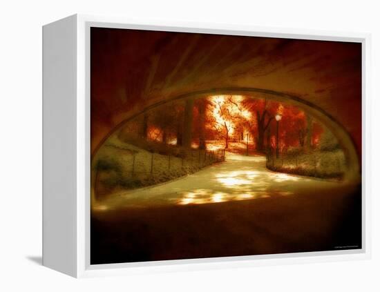 Central Park, no. 1-Katherine Sanderson-Framed Premier Image Canvas