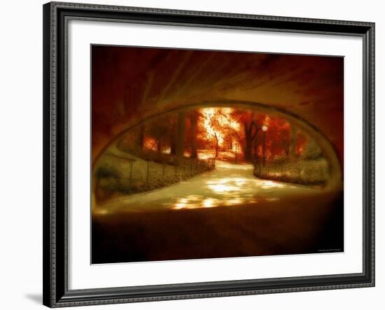 Central Park, no. 1-Katherine Sanderson-Framed Photographic Print