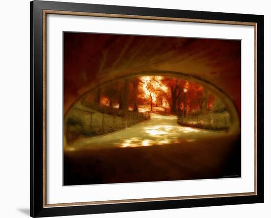 Central Park, no. 1-Katherine Sanderson-Framed Photographic Print