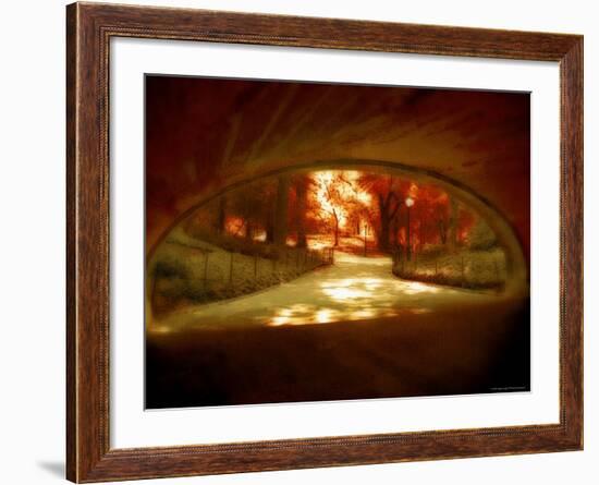 Central Park, no. 1-Katherine Sanderson-Framed Photographic Print