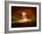 Central Park, no. 1-Katherine Sanderson-Framed Photographic Print