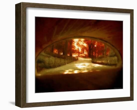 Central Park, no. 1-Katherine Sanderson-Framed Photographic Print