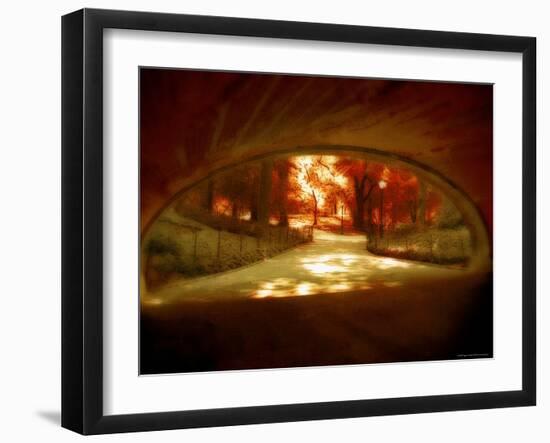 Central Park, no. 1-Katherine Sanderson-Framed Photographic Print