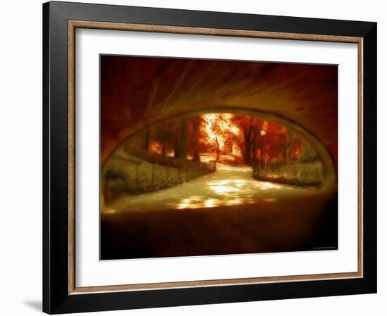 Central Park, no. 1-Katherine Sanderson-Framed Photographic Print