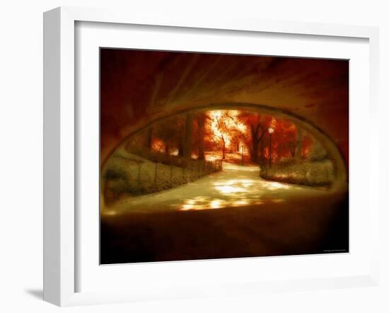 Central Park, no. 1-Katherine Sanderson-Framed Photographic Print