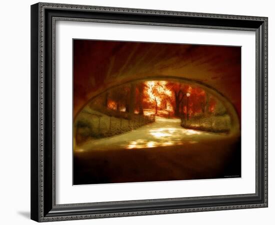 Central Park, no. 1-Katherine Sanderson-Framed Photographic Print