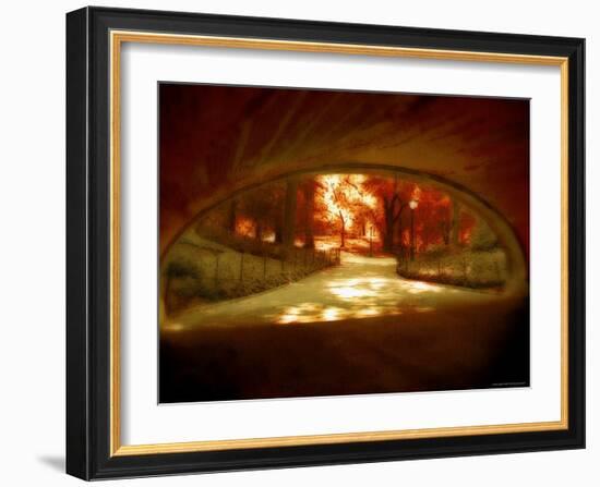 Central Park, no. 1-Katherine Sanderson-Framed Photographic Print