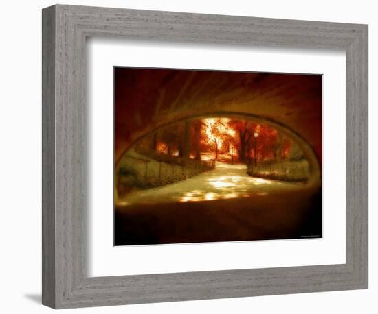 Central Park, no. 1-Katherine Sanderson-Framed Photographic Print