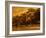 Central Park, no. 2-Katherine Sanderson-Framed Photographic Print