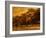 Central Park, no. 2-Katherine Sanderson-Framed Photographic Print