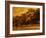 Central Park, no. 2-Katherine Sanderson-Framed Photographic Print