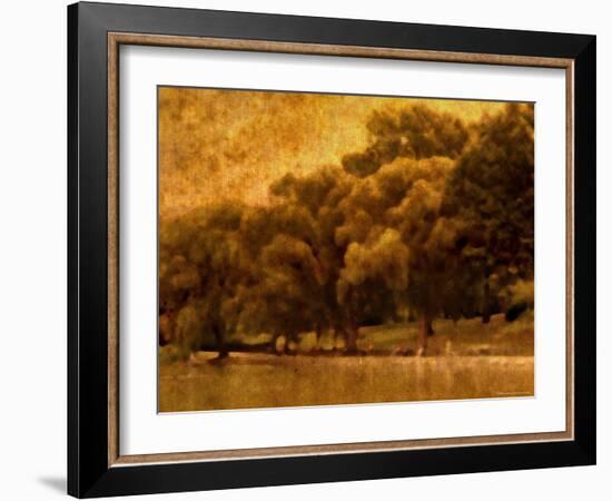 Central Park, no. 2-Katherine Sanderson-Framed Photographic Print