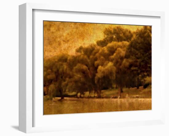 Central Park, no. 2-Katherine Sanderson-Framed Photographic Print