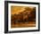 Central Park, no. 2-Katherine Sanderson-Framed Photographic Print