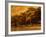 Central Park, no. 2-Katherine Sanderson-Framed Photographic Print