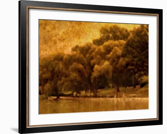 Central Park, no. 2-Katherine Sanderson-Framed Photographic Print