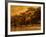 Central Park, no. 2-Katherine Sanderson-Framed Photographic Print